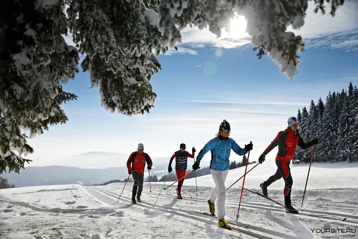 Три лыжных спортсмена. Лыжник. Лыжи спорт. Беговые лыжи. Прогулка на лыжах.