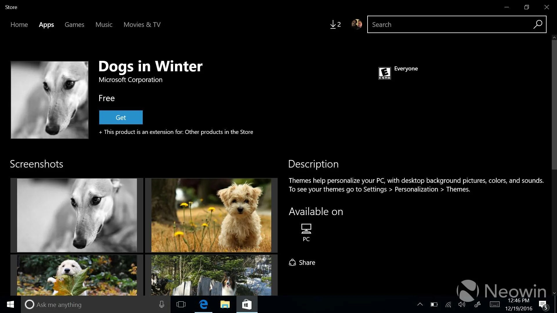 Темы из магазина Windows 10. Собак темы виндовс 10. Dogs in Winter Windows 10. Appear 10