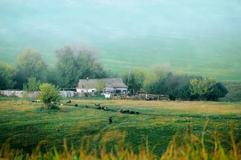 Доживешь свой век на даче