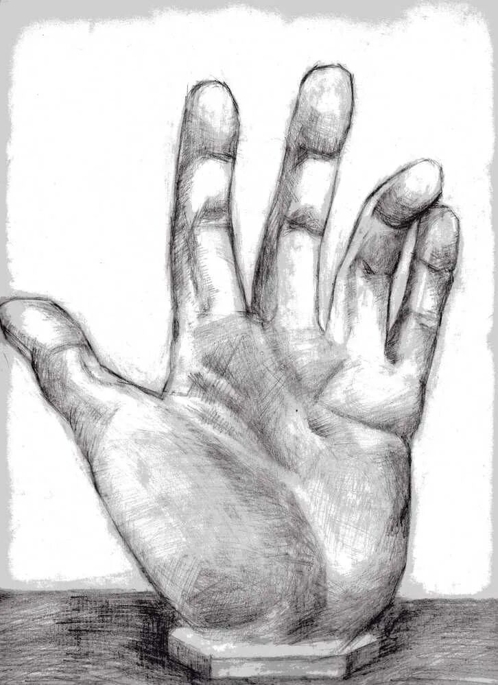 линейно конструктивное построение кистей рук. гипсовая рука давида рисунок академический. построение гипсовой руки. рука рисунок. рисунок гипсовой руки.