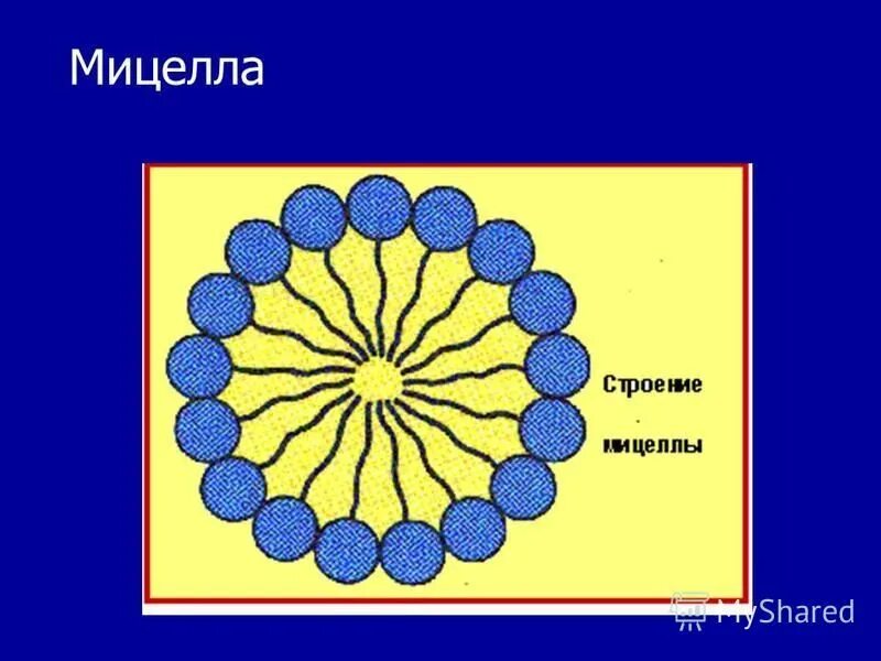 Мицеллы пав. Мицеллы. Строение мицеллы. Мицеллы пав в водных растворах. Цилиндрическая мицелла.