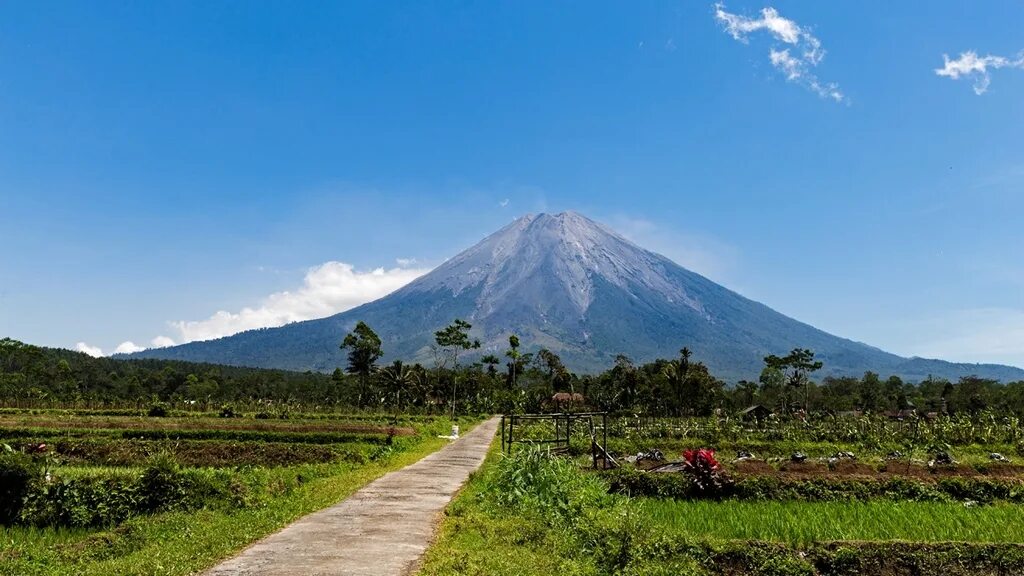 Lombok default