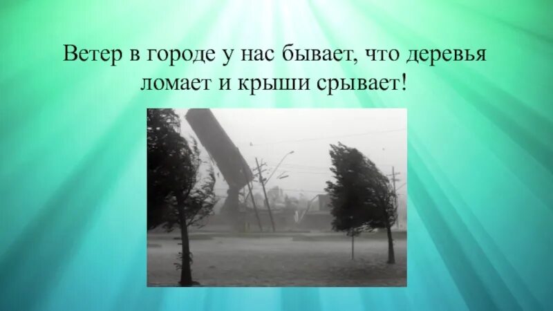 Ветер ломает деревья. Ураганный ветер ломает деревья. Придумать загадку со словами ломает срывает. Ломает срывает загадка про ветер.