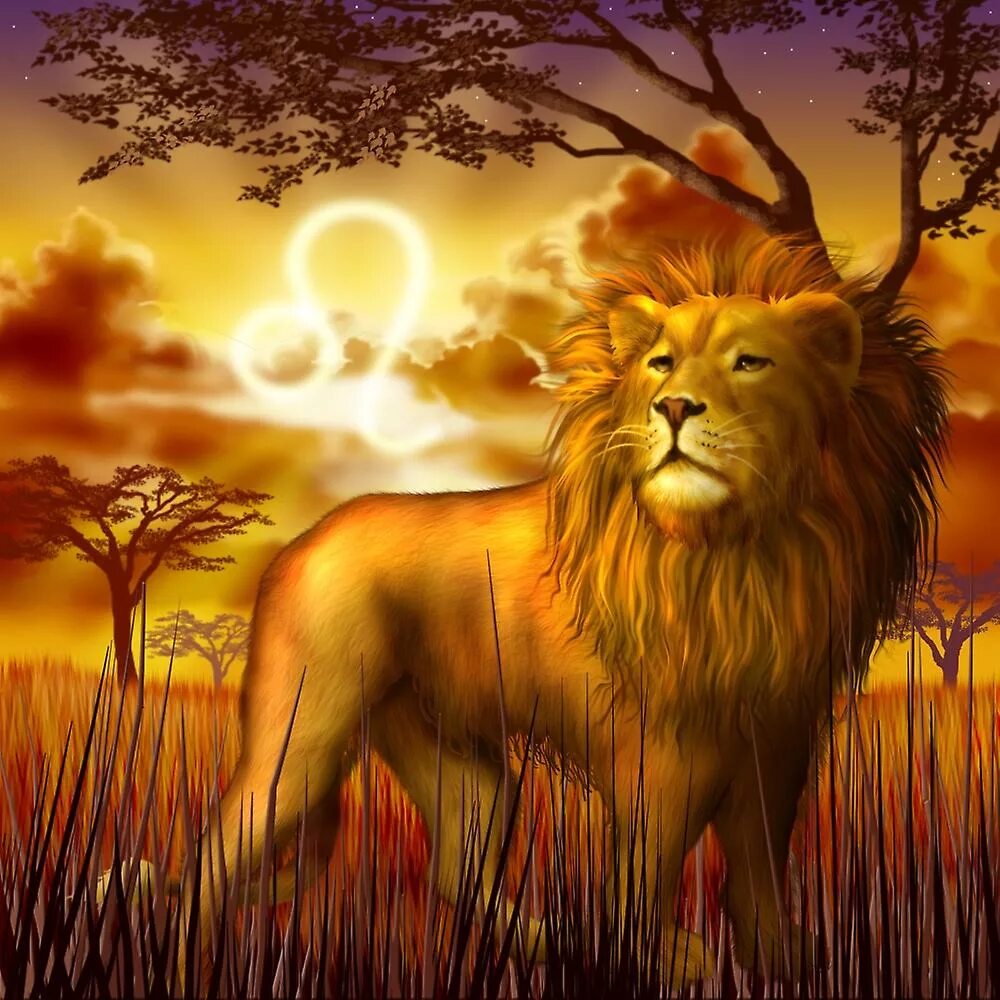 Какого года родился лев. Лев зодиака Чиро Марчетти. Лев. Лев Зодиак. Лев и солнце.
