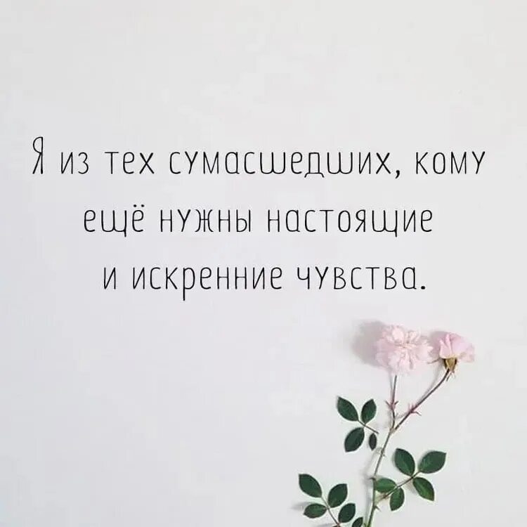 Ах как хочется надеяться что умные. Я счастлива цитаты. Цитаты про счастье. Уметь радоваться за других цитаты. Афоризмы про счастье.