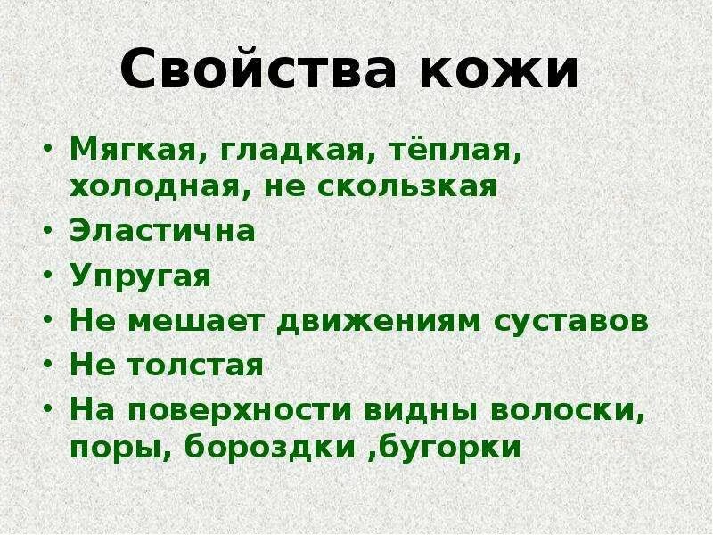 Свойства кожи. Значение кожи для организма. Кожа защита организма. Доклад на тему кожа человека.