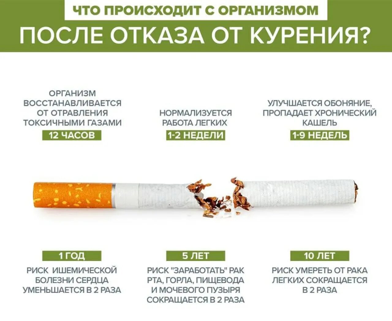 Как Бросить Пить И Начать Заниматься Сексом