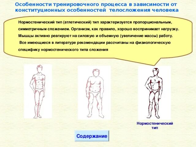 В зависимости от типа телосложения. В зависимости от типа телосложения