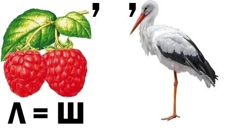 Ребус ш
