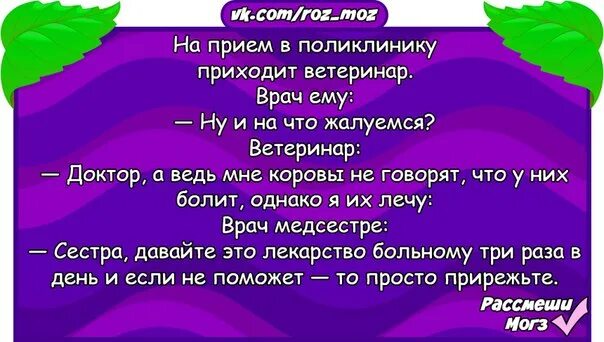 Анекдоты ветеринара. Приходит ветеринар к терапевту анекдот. Анекдот про ветеринара и терапевта. Анекдот ветеринар на приеме у терапевта. Пришел ветеринар на прием к терапевту анекдот.