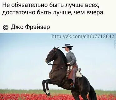 Смысл на коне