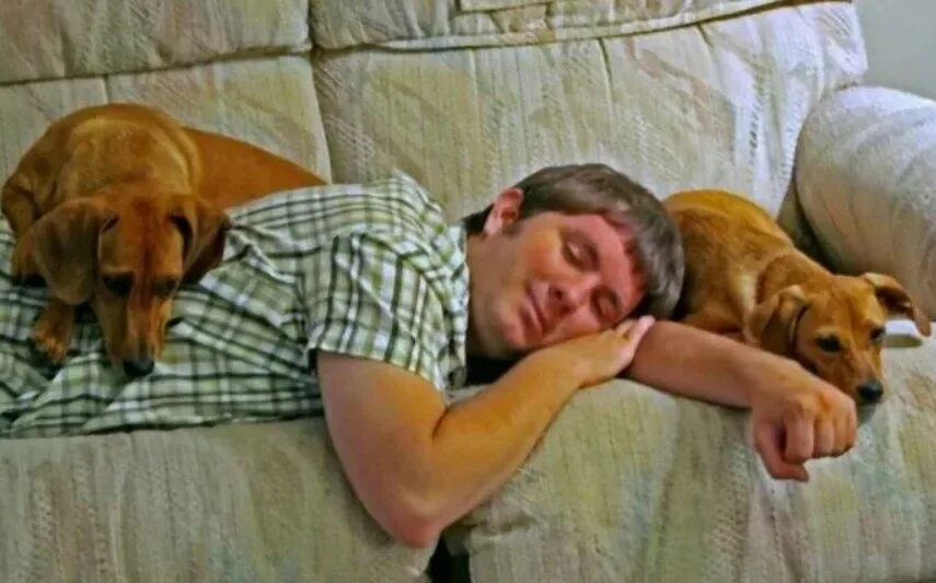 Такса с хозяином. Люди спят с животными. Собака в кровати с хозяином.