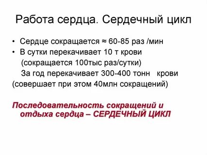 Работа сердца время