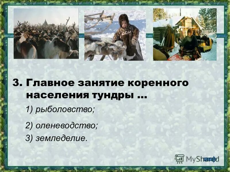 Основное занятие народов севера. Главное занятие коренного населения тундры. Главное занятие коренных жителей тундры. Перечислите основные занятия. Занятия жителей древнего киева.
