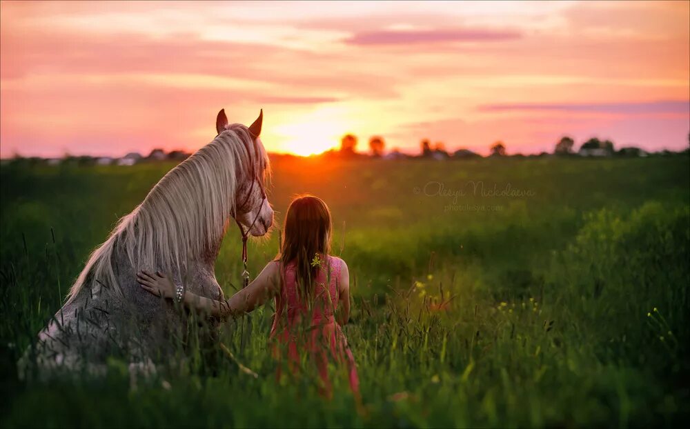 Взаимоотношения лошади и человека. Человек на лошади. Лошадь и человек Дружба. Лошади обнимаются. Девушка обнимает лошадь.