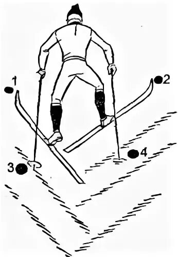Подъем елочкой на лыжах. Подъем "елочкой" (рис. 3). Подъём ёлочкой на лыжах техника. Техника подъема на лыжах в гору елочкой. Способ подъема елочка