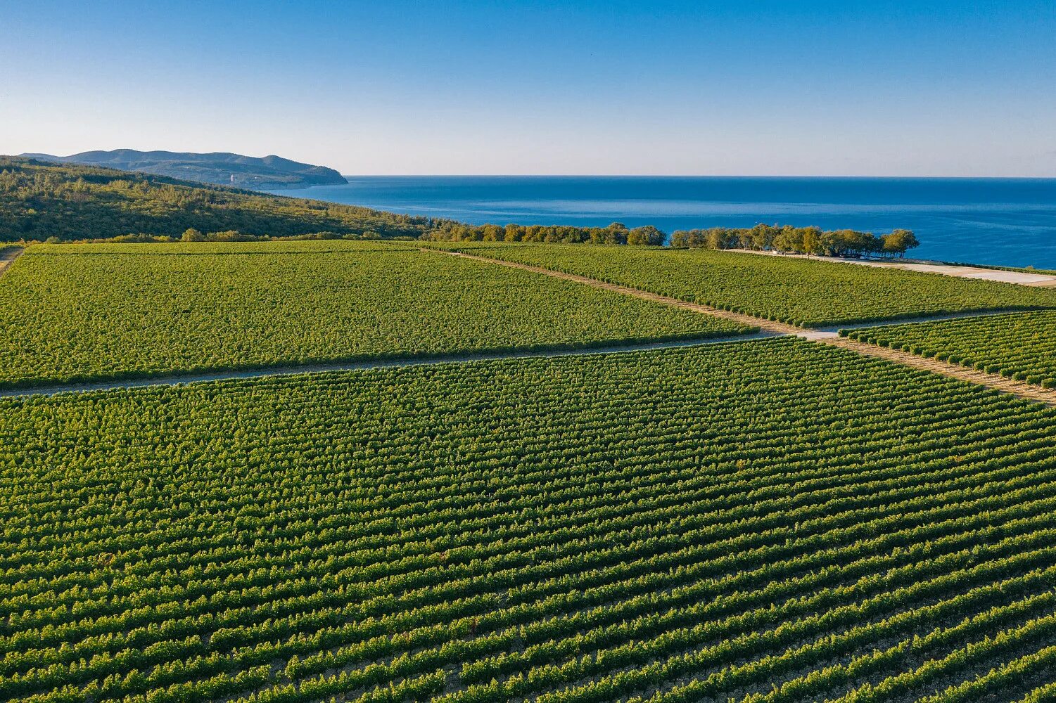 Краснодарский край земли под строительство. Светлогорье анапа. Варваровка краснодарский край. Район европея в краснодаре. Земельный участок сочи у моря.