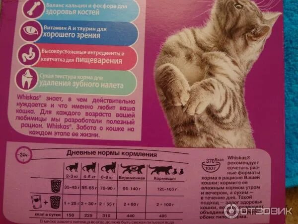 Корм для двухмесячных котят. Норма еды для котов вискас. Режим питания кота. Норма корма для котенка 2 месяца. Сколько раз в взрослая кошка