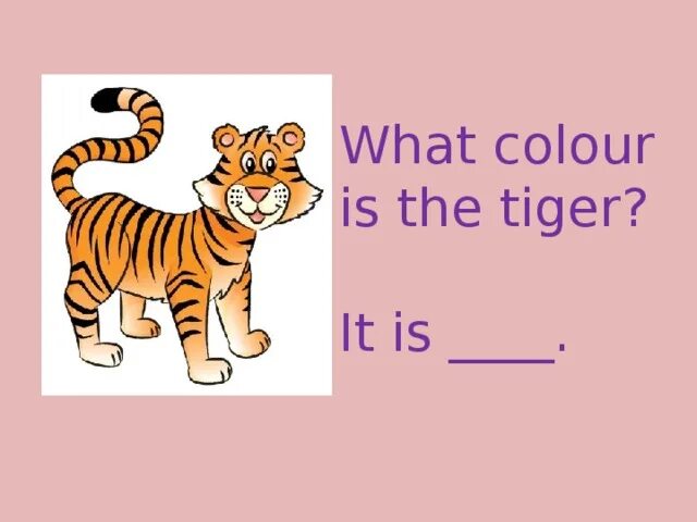 What Colour. What Colour is. What Color is it. What Colour are they. What colour is this
