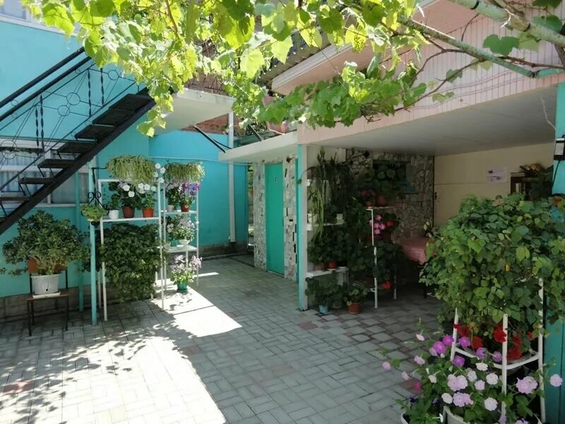 дом у моря дивноморск. дивноморск улица кирова 55. дивноморское жилье у моря. о. дивноморское жилье у моря.