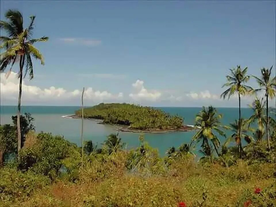 Остров дьявола фото Devil’s Island Prison Infamous Island of Misery YouTube