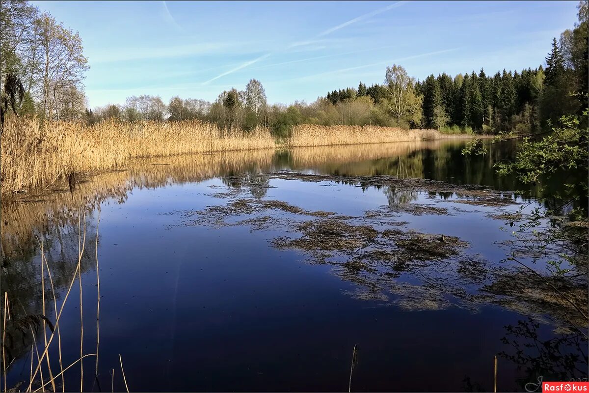 Водоёмы Ропша