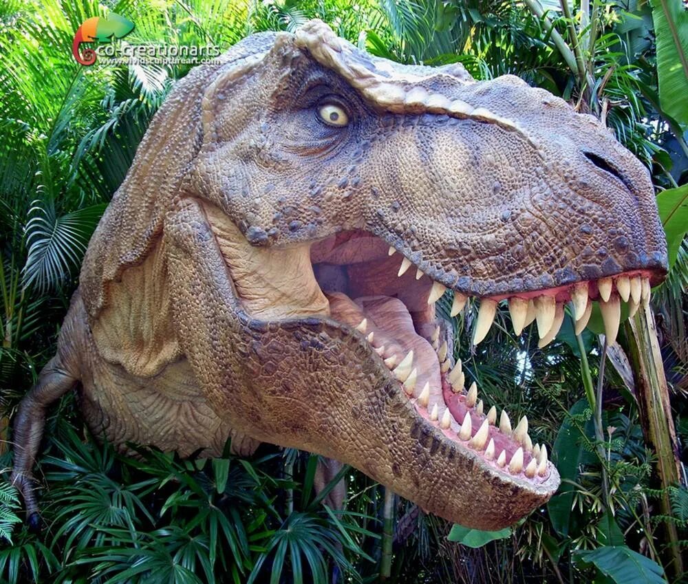 Cn Dinosaurus Cina Berdagang, Membeli Dinosaurus Cina Langsung dari Cn Pabrik di