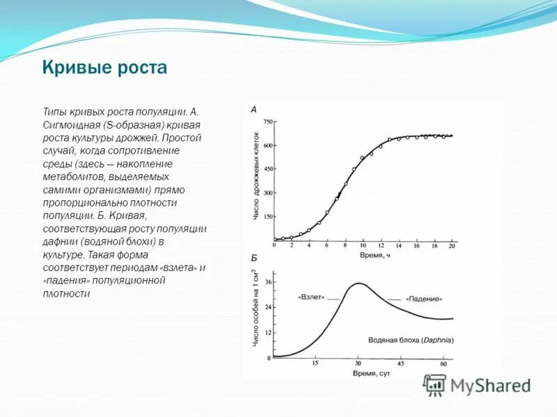 При чрезмерном увеличении численности плотности популяции. S образная кривая роста популяции. Тип Кривой роста. Кривая роста дрожжей.