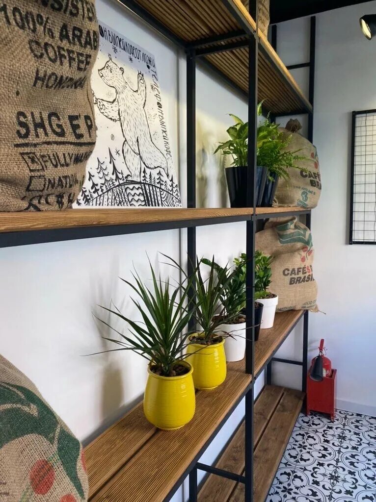 снежный кофе красноярск