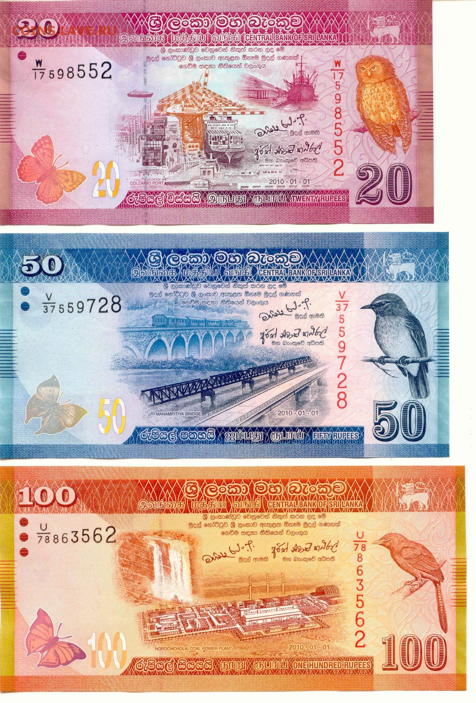100 Ланкийских рупий. Шриланкийские рупии. Шри Ланка валюта к рублю. Деньги Шри Ланки к рублю.