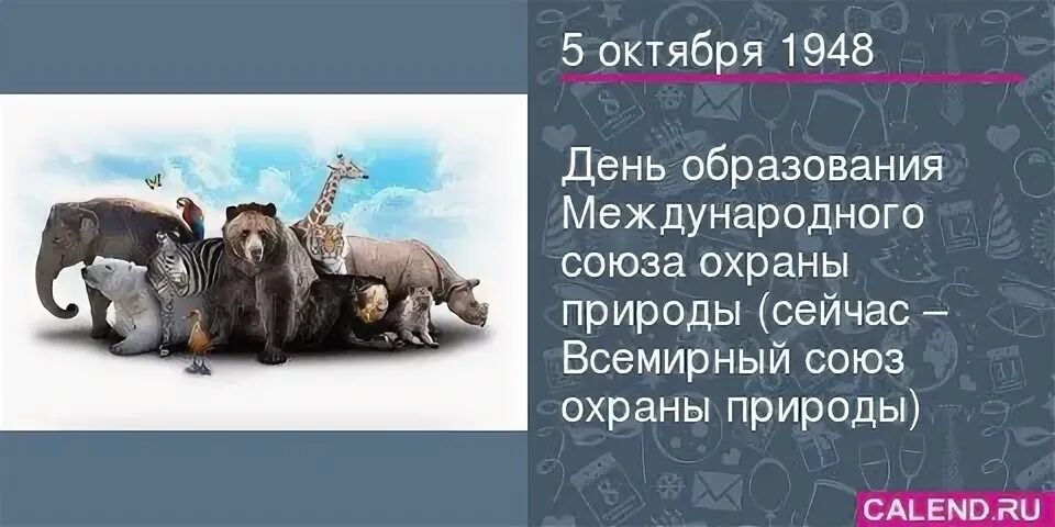 Международный Союз охраны природы. МСОП Международный Союз охраны природы. День образования международного Союза охраны природы. В 1948 году был создан Международный Союз охраны природы.. Когда был создан союз охраны природы