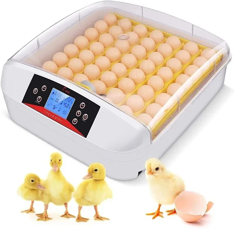 Купить инкубаторы кур. Mini Egg incubator 56. Инкубатор для яиц HHD. HHD 120 инкубатор Blue. Инкубатор HHD 12 мини с овоскопом.