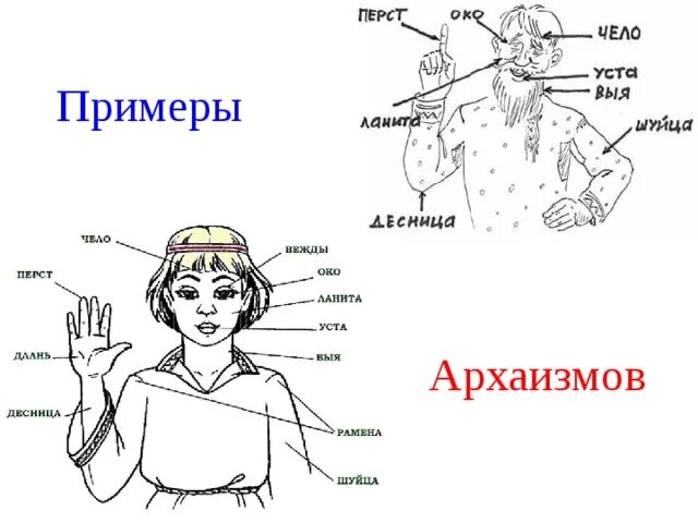 4 Архаизма. Архаизмы. Архаизмы примеры. Грамматические архаизмы.