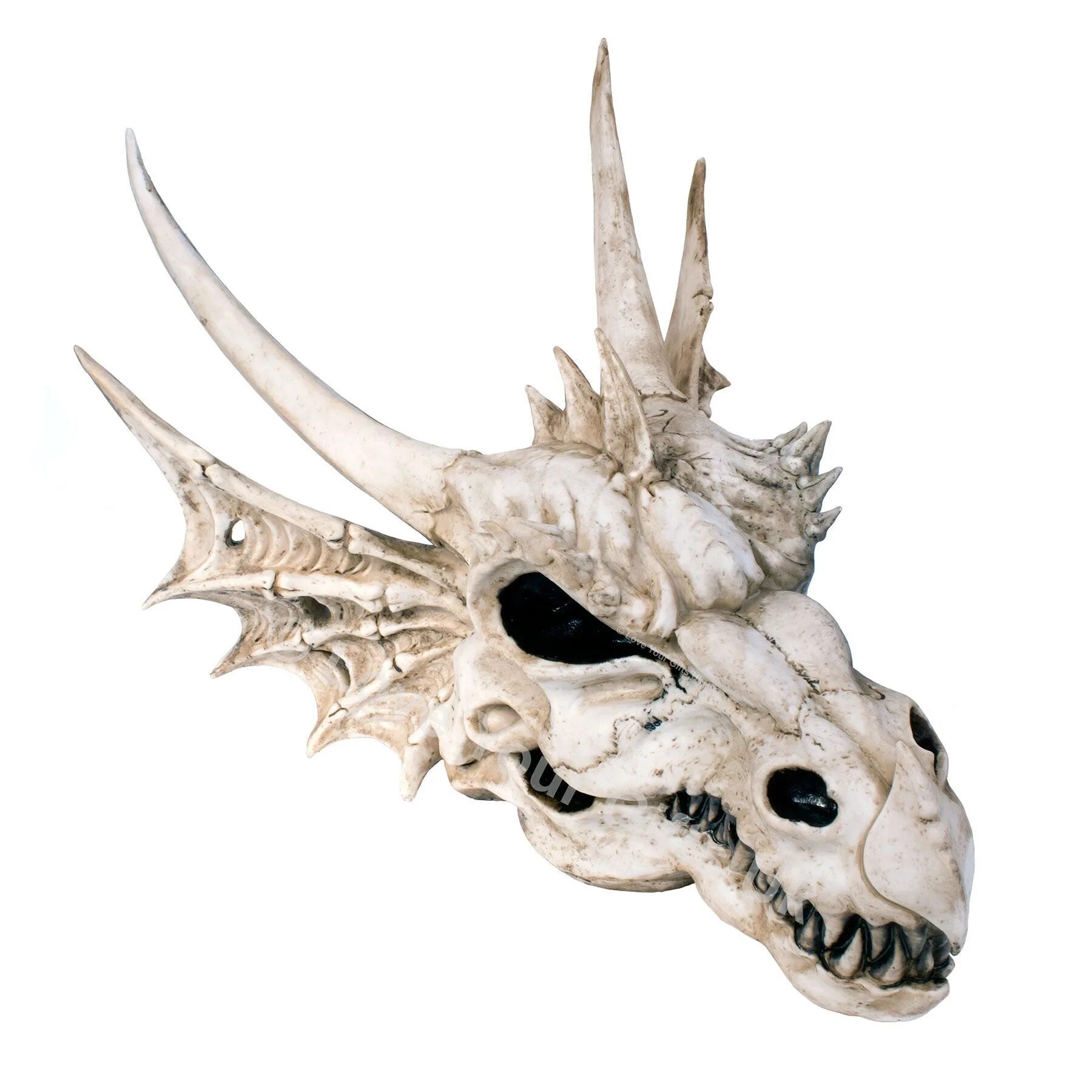 Голова дракона скульптура. Дракон голова модель. Морда дракона. Голова дракона на стену. Дракон 3д.