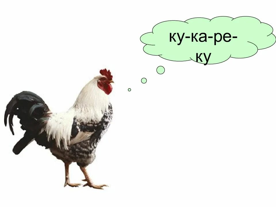 Год петуха. Игра настольная "ку-ка-ре-ку!". Ку ка ре ку. Ку ка ре ку. Детские книжки ку-ку.