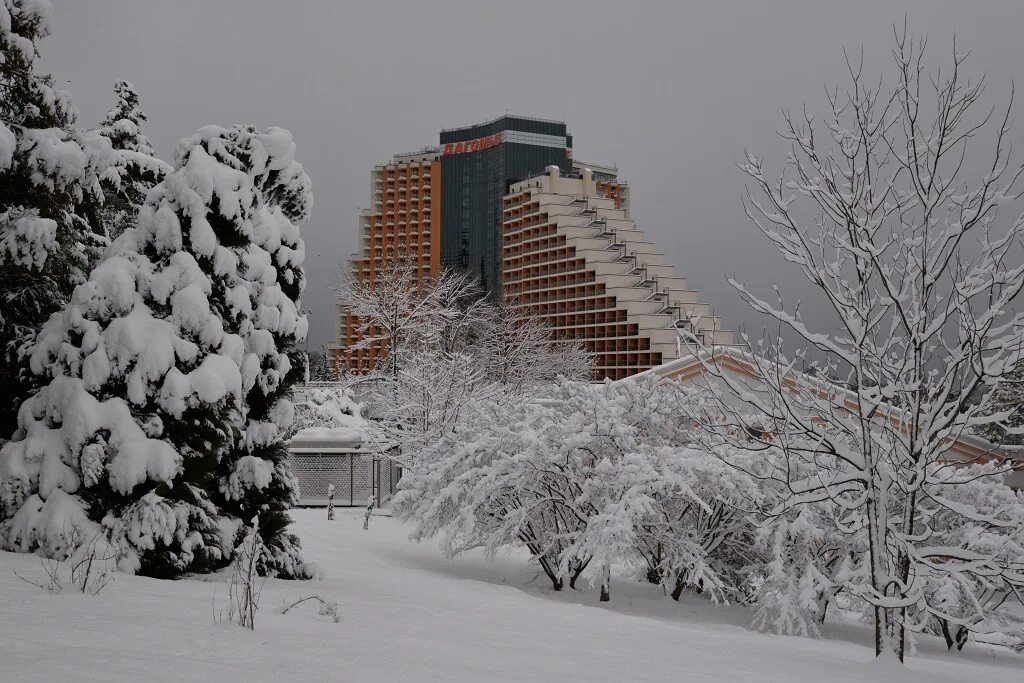 дагомыс зимой. дагомыс зимой. вокзал дагомыс. сочи дагомыс зимой. дагомыс набережная 2022.