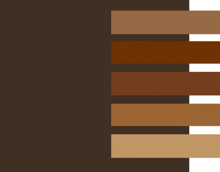 Brown какой цвет. Коричневый цвет. Оттенки коричневого цвета. Палитры цветов коричневый. Сочетание с коричневым.