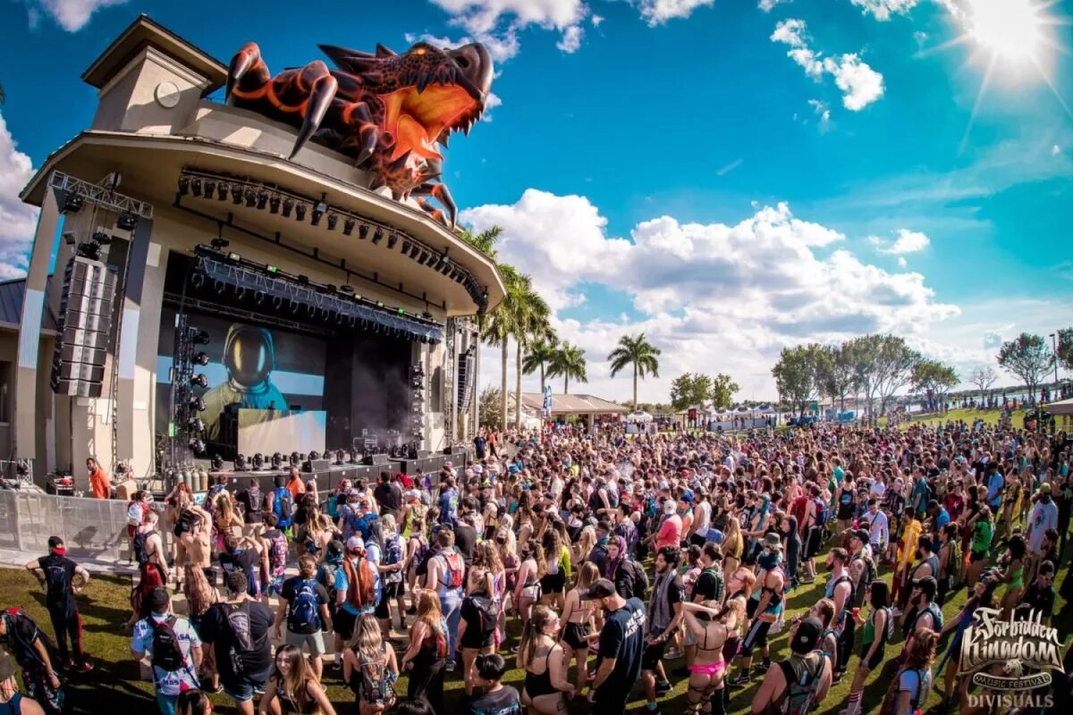 Толпа. Паника в толпе. 2 days festival. Музыкальный фестиваль ультра день. Фестиваль coachella водонаева.