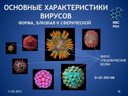 Примеры вирусов