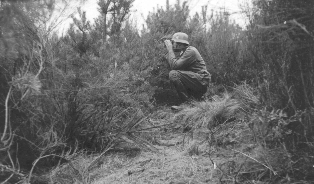 Разведка в лесу. Два солдата в лесу. Солдаты идут по лесу. Лес великая отечественная война. Военнослужащие в лесу.