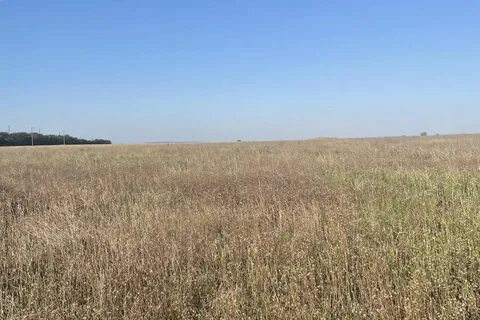 Курганный орловского