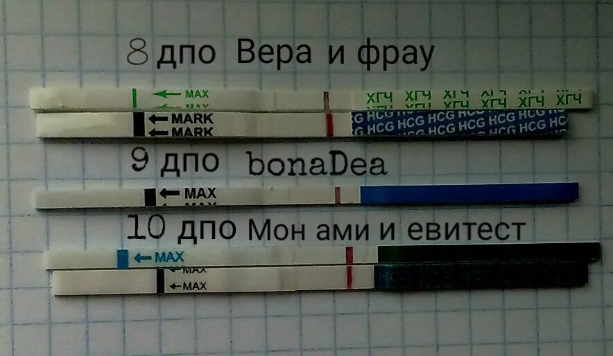 10 ДПО тест на беременность. 10 День после овуляции тест отрицательный. Тест на беременность на 10 день после овуляции. 12 ДПО тест на беременность покажет ли беременность. Когда после овуляции делать тест на беременность