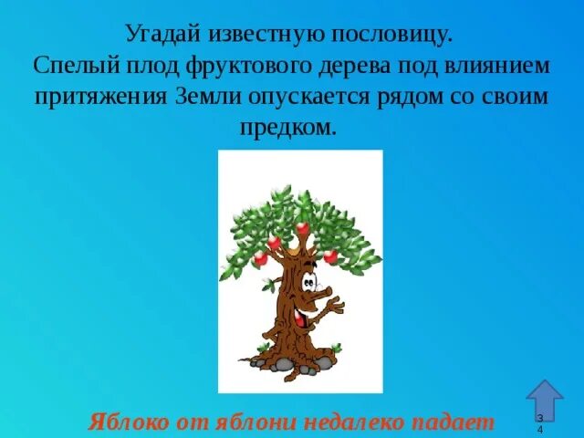 Яблоко от яблони недалеко падает. Яблочко от яблоньки недалеко падает. Пословица яблоко от яблони недалеко падает. Рисунок к пословице яблоко от яблони недалеко падает.