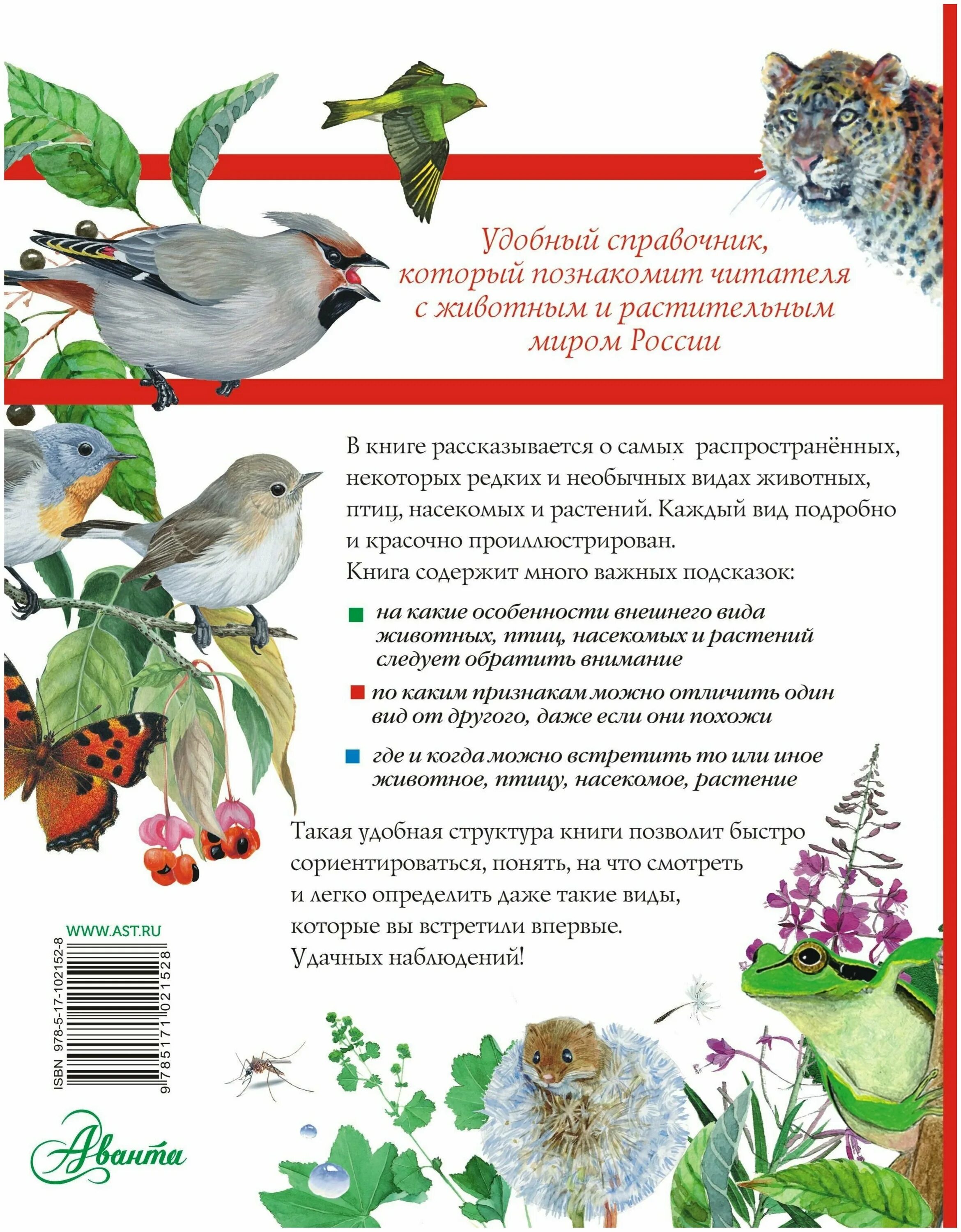 Как поют разные звери птицы и насекомые. Книга большой определитель птиц зверей насекомых и растений России. Большой определитель птиц зверей насекомых. Большой определитель птиц зверей насекомых и растений России. Большой определитель птиц.