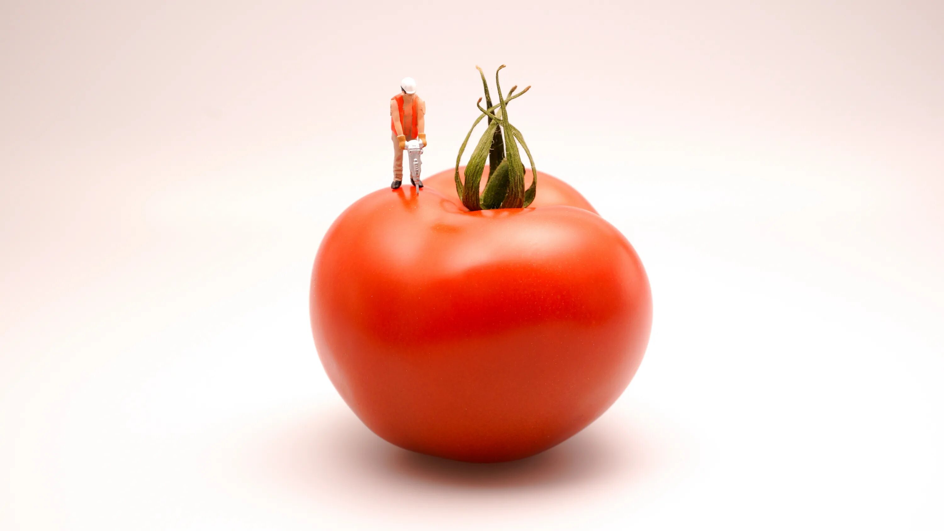 Томат 169. Помидор креатив. Креатив про томаты. Креативное фото помидора. Реклама помидор.