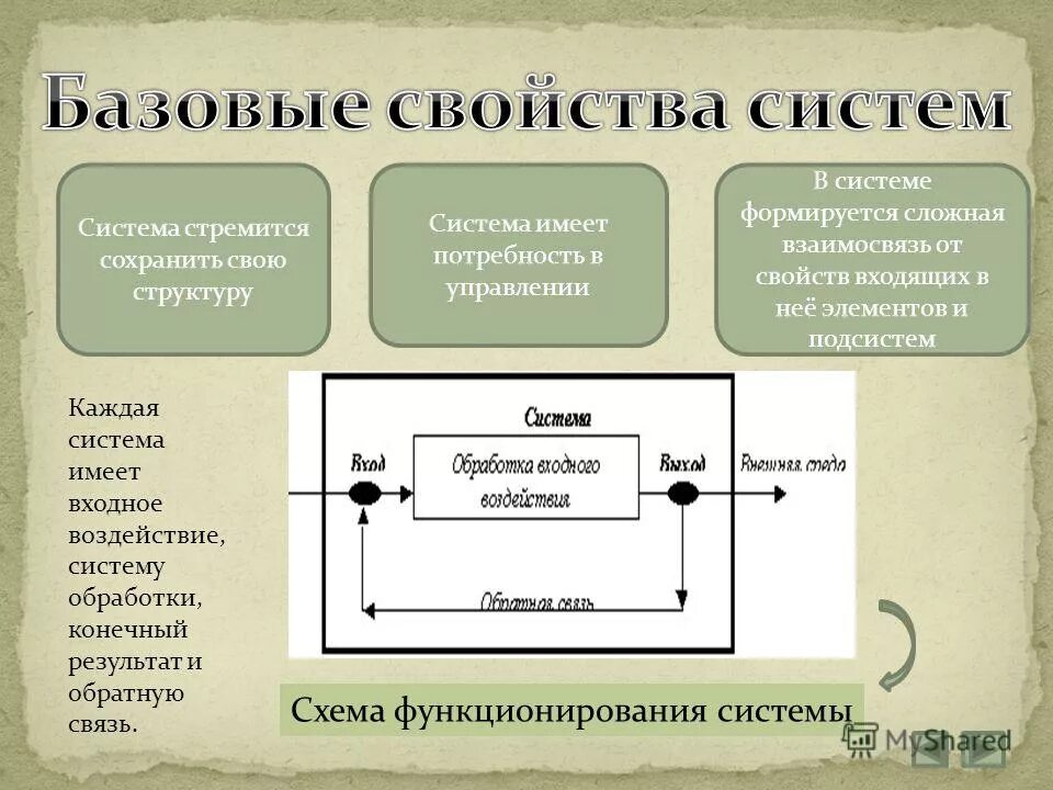 Представляют собой систему взаимосвязанных элементов