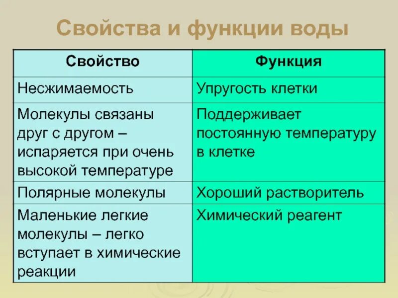 Вода состав свойства функции. Строение и функции воды. свойства и функции воды. функции воды таблица. вода особенности строения и функции.