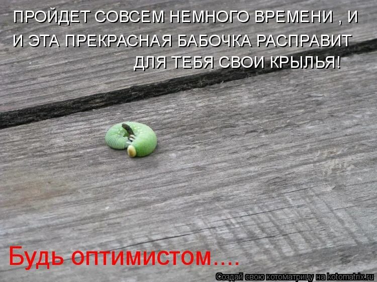 Оглянувшись назад ты поймешь. Интересные высказывания в картинках. Приколы про ленку. Афоризмы про вдохновение прикольные. Пройдет совсем.