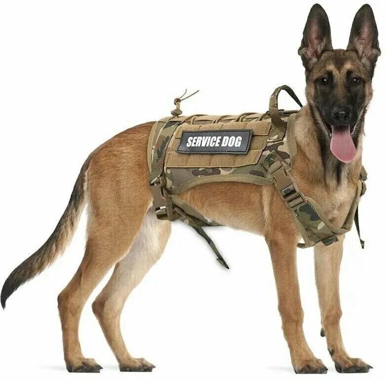 Тактическая шлейка для собак. Шлейка Tactical Dog. Шлейка Жиллет для собак крупных пород.. Тактическая шлейка для добермана. Тактическая шлейка для цвергпинчера.