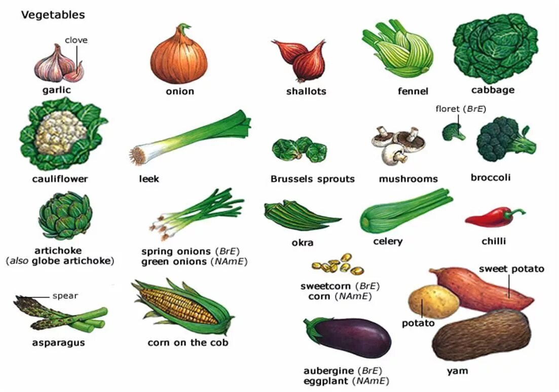 Where vegetables. Овощи на английском. Название овощей на английском языке. Овощи названия. Овощи на английском языке для детей.